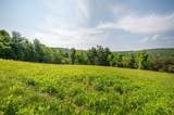 1073 Timberline Road - Photo 10