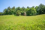 1073 Timberline Road - Photo 14