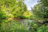 1073 Timberline Road - Photo 22