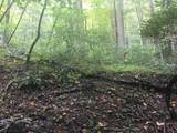 TBD Briar Rock Trail - Photo 19