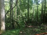TBD Briar Rock Trail - Photo 20