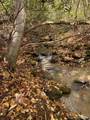 TBD Briar Rock Trail - Photo 22