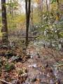 TBD Briar Rock Trail - Photo 23