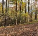 TBD Briar Rock Trail - Photo 24