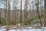 TBD Briar Rock Trail - Photo 4
