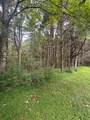 TBD Little Laurel Rd. - Photo 6