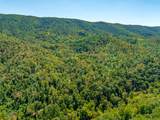 TBD Wolf Creek Road - Photo 37