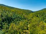 TBD Wolf Creek Road - Photo 42