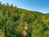 TBD Wolf Creek Road - Photo 43