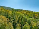 TBD Wolf Creek Road - Photo 44