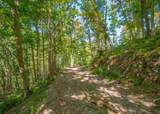 TBD Wolf Creek Road - Photo 50