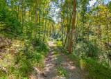 TBD Wolf Creek Road - Photo 51