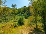 TBD Wolf Creek Road - Photo 55