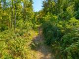 TBD Wolf Creek Road - Photo 57