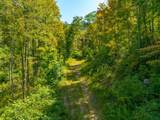 TBD Wolf Creek Road - Photo 58