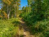 TBD Wolf Creek Road - Photo 59