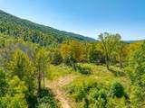 TBD Wolf Creek Road - Photo 65