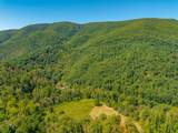 TBD Wolf Creek Road - Photo 74