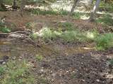 TBD Dugspur Rd. - Photo 16