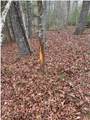 TBD Applejack Lane - Photo 21