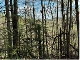 TBD Applejack Lane - Photo 22