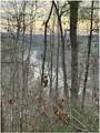 TBD Applejack Lane - Photo 23