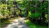 TBD Applejack Lane - Photo 24