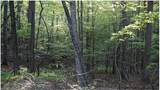 TBD Applejack Lane - Photo 26