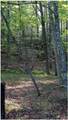 TBD Applejack Lane - Photo 28