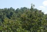 TBD Shoals Lane - Photo 72