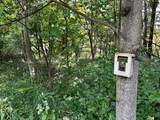 TBD Stoney Ridge Road - Photo 18