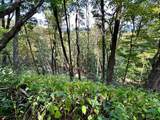 TBD Stoney Ridge Road - Photo 19