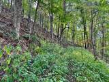 TBD Stoney Ridge Road - Photo 24