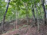 TBD Stoney Ridge Road - Photo 32