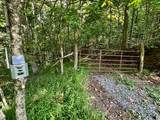 TBD Stoney Ridge Road - Photo 6