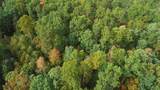 Lot 88 Nye Valley Rd - Cove Creek - Photo 11
