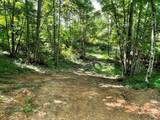 TBD Big Ridge Road - Photo 11