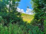 TBD Big Ridge Road - Photo 25