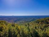 50 Acres Spring Valley Rd - Photo 1