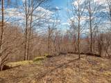 50 Acres Spring Valley Rd - Photo 16
