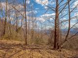 50 Acres Spring Valley Rd - Photo 18