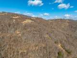 50 Acres Spring Valley Rd - Photo 39