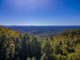 50 Acres Spring Valley Rd - Photo 4