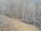 50 Acres Spring Valley Rd - Photo 41