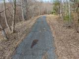 50 Acres Spring Valley Rd - Photo 43