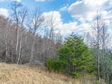 50 Acres Spring Valley Rd - Photo 46