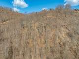 50 Acres Spring Valley Rd - Photo 49