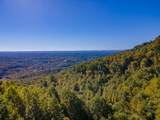 50 Acres Spring Valley Rd - Photo 5