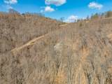 50 Acres Spring Valley Rd - Photo 50