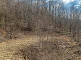 50 Acres Spring Valley Rd - Photo 52